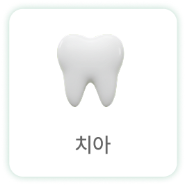 치아